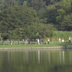 袖ケ浦公園とホオジロカンムリヅル